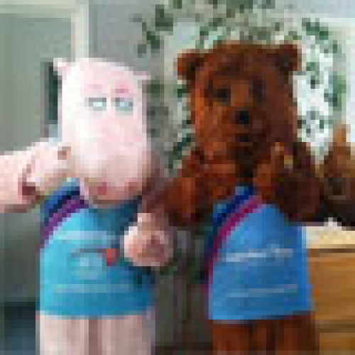 Final Preparations for Snowdon Challenge